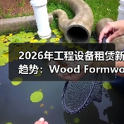 2026年工程设备租赁新趋势：Wood Formwork Rental与拼装差异化解析（图1）