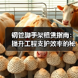 钢管脚手架租赁指南：提升工程支护效率的秘密武器（图1）