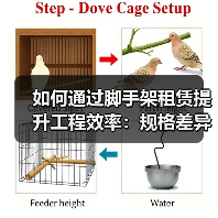 如何通过脚手架租赁提升工程效率:规格差异化的秘密武器(图1) 如何通过脚手架租赁提升工程效率:规格差异化的秘密武器(图1)