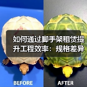 如何通过脚手架租赁提升工程效率:规格差异化的秘密武器(图2) 如何通过脚手架租赁提升工程效率:规格差异化的秘密武器(图2)