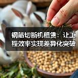 钢筋切断机租赁：让工程效率实现差异化突破（图4）