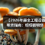 【2026年最全工程设备租赁指南：铝模板租赁与轻便支护的差异化优势】（图3）