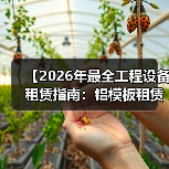 【2026年最全工程设备租赁指南：铝模板租赁与轻便支护的差异化优势】（图4）
