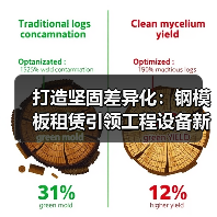 打造坚固差异化:钢模板租赁引领工程设备新潮流(图3) 打造坚固差异化:钢模板租赁引领工程设备新潮流(图3)