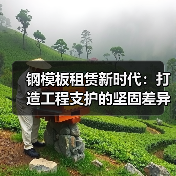 钢模板租赁新时代:打造工程支护的坚固差异化体验(图2) 钢模板租赁新时代:打造工程支护的坚固差异化体验(图2)