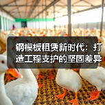 钢模板租赁新时代:打造工程支护的坚固差异化体验(图3) 钢模板租赁新时代:打造工程支护的坚固差异化体验(图3)