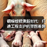 钢模板租赁新时代:打造工程支护的坚固差异化体验(图4) 钢模板租赁新时代:打造工程支护的坚固差异化体验(图4)