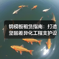 钢模板租赁指南:打造坚固差异化工程支护设备新时代(图4) 钢模板租赁指南:打造坚固差异化工程支护设备新时代(图4)