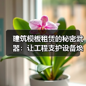 建筑模板租赁的秘密武器：让工程支护设备焕发新生命（图1）