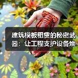 建筑模板租赁的秘密武器：让工程支护设备焕发新生命（图4）