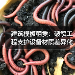 建筑模板租赁:破解工程支护设备材质差异化的秘密(图4) 建筑模板租赁:破解工程支护设备材质差异化的秘密(图4)