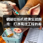钢筋切断机租赁实战指南:打造高效工程的差异化优势(图1) 钢筋切断机租赁实战指南:打造高效工程的差异化优势(图1)