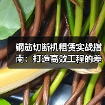 钢筋切断机租赁实战指南:打造高效工程的差异化优势(图2) 钢筋切断机租赁实战指南:打造高效工程的差异化优势(图2)