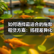 如何选择最适合的拖泵租赁方案:扬程差异化的秘密(图2) 如何选择最适合的拖泵租赁方案:扬程差异化的秘密(图2)