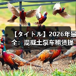 【タイトル】2026年最全:混凝土泵车租赁提升工程效率的秘密(图2) 【タイトル】2026年最全:混凝土泵车租赁提升工程效率的秘密(图2)
