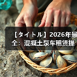【タイトル】2026年最全:混凝土泵车租赁提升工程效率的秘密(图4) 【タイトル】2026年最全:混凝土泵车租赁提升工程效率的秘密(图4)