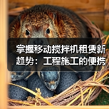 掌握移动搅拌机租赁新趋势:工程施工的便携差异化解决方案(图1) 掌握移动搅拌机租赁新趋势:工程施工的便携差异化解决方案(图1)