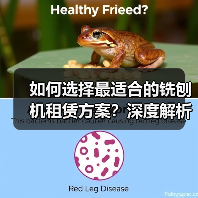 如何选择最适合的铣刨机租赁方案?深度解析工程路面设备租赁的差异化策略(图2) 如何选择最适合的铣刨机租赁方案?深度解析工程路面设备租赁的差异化策略(图2)