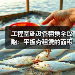 工程基础设备租赁全攻略:平板夯租赁的面积差异化应用(图1) 工程基础设备租赁全攻略:平板夯租赁的面积差异化应用(图1)
