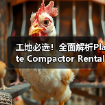 工地必选!全面解析Plate Compactor Rental平板夯租赁的奥秘(图2) 工地必选!全面解析Plate Compactor Rental平板夯租赁的奥秘(图2)