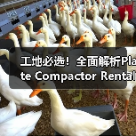 工地必选!全面解析Plate Compactor Rental平板夯租赁的奥秘(图1) 工地必选!全面解析Plate Compactor Rental平板夯租赁的奥秘(图1)