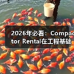 2026年必看:Compactor Rental在工程基础设备中的差异化竞争策略(图3) 2026年必看:Compactor Rental在工程基础设备中的差异化竞争策略(图3)