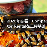 2026年必看:Compactor Rental在工程基础设备中的差异化竞争策略(图4) 2026年必看:Compactor Rental在工程基础设备中的差异化竞争策略(图4)