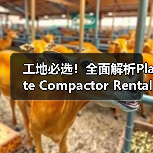 工地必选!全面解析Plate Compactor Rental平板夯租赁的奥秘(图4) 工地必选!全面解析Plate Compactor Rental平板夯租赁的奥秘(图4)
