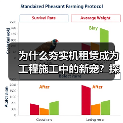 为什么夯实机租赁成为工程施工中的新宠?探秘冲击差异化背后的行业秘密(图3) 为什么夯实机租赁成为工程施工中的新宠?探秘冲击差异化背后的行业秘密(图3)
