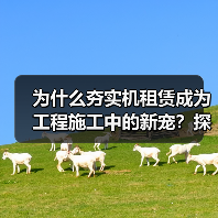 为什么夯实机租赁成为工程施工中的新宠?探秘冲击差异化背后的行业秘密(图2) 为什么夯实机租赁成为工程施工中的新宠?探秘冲击差异化背后的行业秘密(图2)