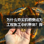 为什么夯实机租赁成为工程施工中的新宠?探秘冲击差异化背后的行业秘密(图1) 为什么夯实机租赁成为工程施工中的新宠?探秘冲击差异化背后的行业秘密(图1)