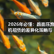 2026年必懂:路面压路机租赁的差异化策略与实操指南(图2) 2026年必懂:路面压路机租赁的差异化策略与实操指南(图2)