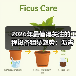2026年最值得关注的工程设备租赁趋势:沥青摊铺机租赁指南(图1) 2026年最值得关注的工程设备租赁趋势:沥青摊铺机租赁指南(图1)
