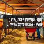 【振动压路机租赁指南：掌握震频差异化的核心密码】（图2）