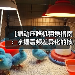 【振动压路机租赁指南：掌握震频差异化的核心密码】（图3）