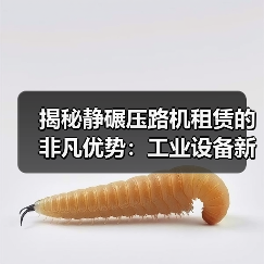 揭秘静碾压路机租赁的非凡优势:工业设备新风向(图2) 揭秘静碾压路机租赁的非凡优势:工业设备新风向(图2)