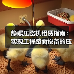 静碾压路机租赁指南:实现工程路面设备的压实差异化(图1) 静碾压路机租赁指南:实现工程路面设备的压实差异化(图1)