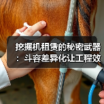 挖掘机租赁的秘密武器:斗容差异化让工程效率飙升(图3) 挖掘机租赁的秘密武器:斗容差异化让工程效率飙升(图3)