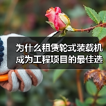 为什么租赁轮式装载机成为工程项目的最佳选择?这个答案绝不简单,但当你真正了解行走差异化和相关行业内幕后,会发现背后隐藏的巨大价值。很多施工企业都在问:2026年(图1) 为什么租赁轮式装载机成为工程项目的最佳选择?这个答案绝不简单,但当你真正了解行走差异化和相关行业内幕后,会发现背后隐藏的巨大价值。很多施工企业都在问:2026年(图1)