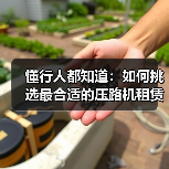 懂行人都知道：如何挑选最合适的压路机租赁方案（图3）