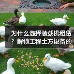 为什么选择装载机租赁?解锁工程土方设备的差异化优势(图3) 为什么选择装载机租赁?解锁工程土方设备的差异化优势(图3)