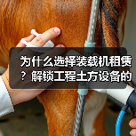 为什么选择装载机租赁?解锁工程土方设备的差异化优势(图1) 为什么选择装载机租赁?解锁工程土方设备的差异化优势(图1)