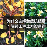为什么选择装载机租赁?解锁工程土方设备的差异化优势(图4) 为什么选择装载机租赁?解锁工程土方设备的差异化优势(图4)