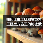如何让推土机租赁成为工程土方施工的秘密武器?(图2) 如何让推土机租赁成为工程土方施工的秘密武器?(图2)