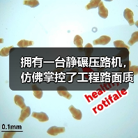 拥有一台静碾压路机,仿佛掌控了工程路面质量的“秘籍”。但在实际操作中,为什么那么多施工队伍发现租赁Static Roller的成本控制和压实效果差异巨大?答案其(图2) 拥有一台静碾压路机,仿佛掌控了工程路面质量的“秘籍”。但在实际操作中,为什么那么多施工队伍发现租赁Static Roller的成本控制和压实效果差异巨大?答案其(图2)