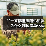 **一文搞懂压路机租赁:为什么吨位差异化成为行业新宠?**(图3) **一文搞懂压路机租赁:为什么吨位差异化成为行业新宠?**(图3)