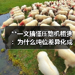 **一文搞懂压路机租赁:为什么吨位差异化成为行业新宠?**(图2) **一文搞懂压路机租赁:为什么吨位差异化成为行业新宠?**(图2)
