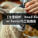 【全面解析:Road Roller Rental与工程路面设备租赁的吨位差异化优势】(图4) 【全面解析:Road Roller Rental与工程路面设备租赁的吨位差异化优势】(图4)