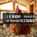 【全面解析:Road Roller Rental与工程路面设备租赁的吨位差异化优势】(图3) 【全面解析:Road Roller Rental与工程路面设备租赁的吨位差异化优势】(图3)