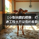 【小型挖掘机租赁：打造工程土方设备的差异化优势】（图4）